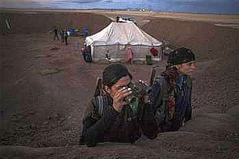 n_56894_4