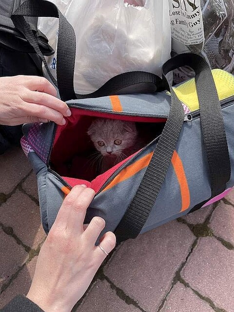 a04635ea-5e50-4443-a42a-f27694386404