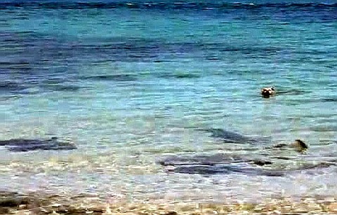 article-2015611-0D0ADF5800000578-2_634x406