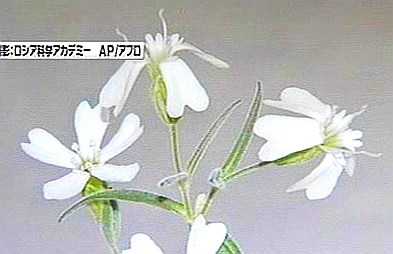 Ci120222114035