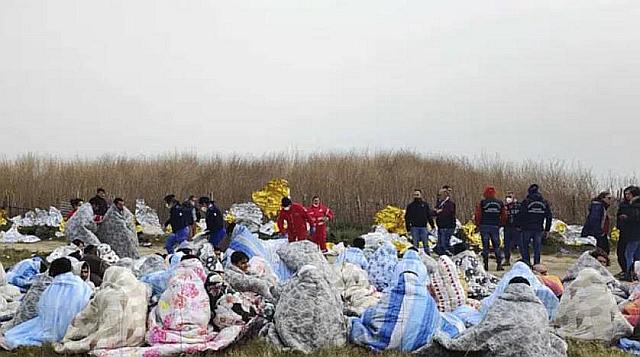 migrants