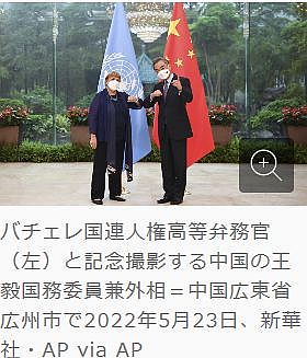 FireShot Webpage Screenshot #1529 - '中国外相「反中勢力