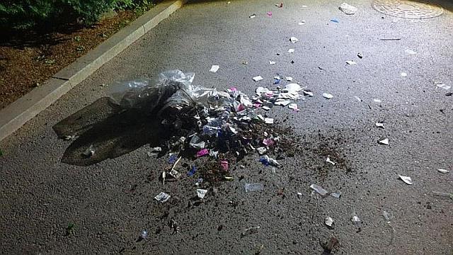 91971550-1e1c-11ef-80aa-699d54c46324