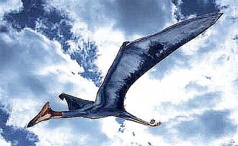quetzalcoatlus