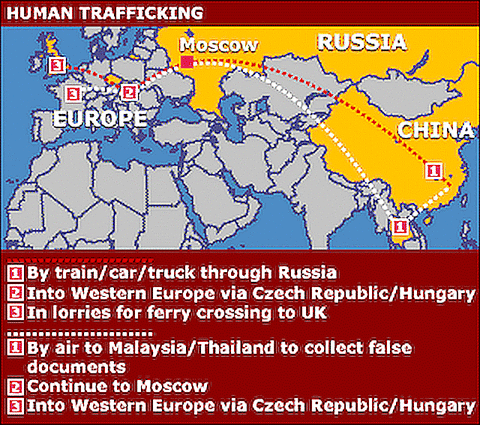 _799137_world_smug_2_300map