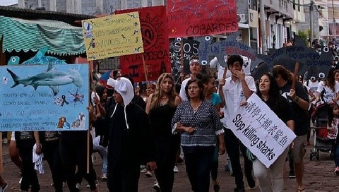 jpg_1718483346