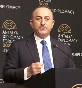 FireShot Webpage Screenshot #1457 - 'トルコ「北欧と交渉の