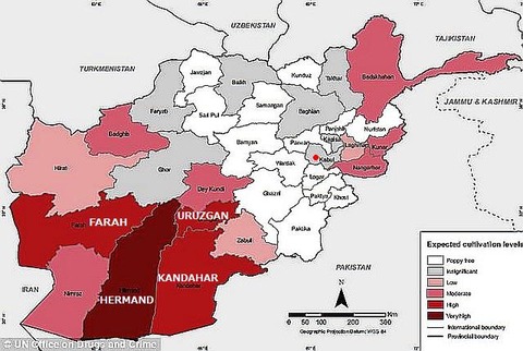 article-2309481-194FEB1B000005DC-953_634x425