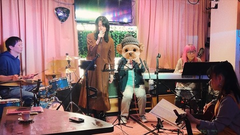 329F95F5-B147-4771-BB36-9B61E120CFFD