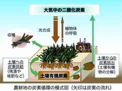 炭素循環農法