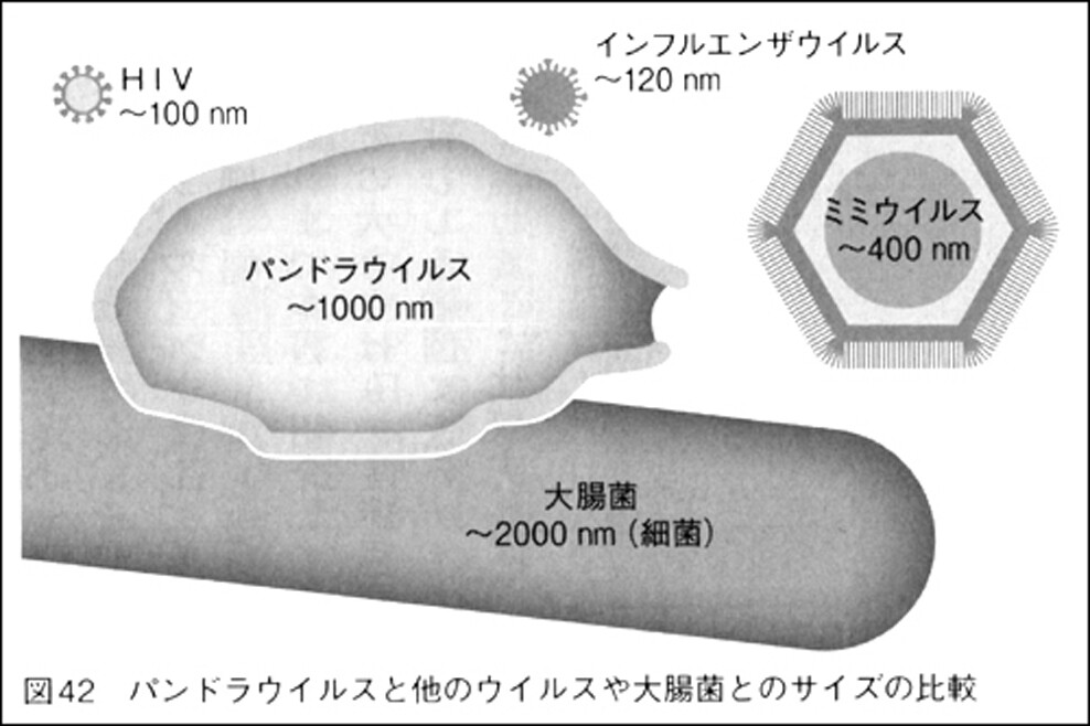 新しいウイルス観と生命の輪 いつでもloupe