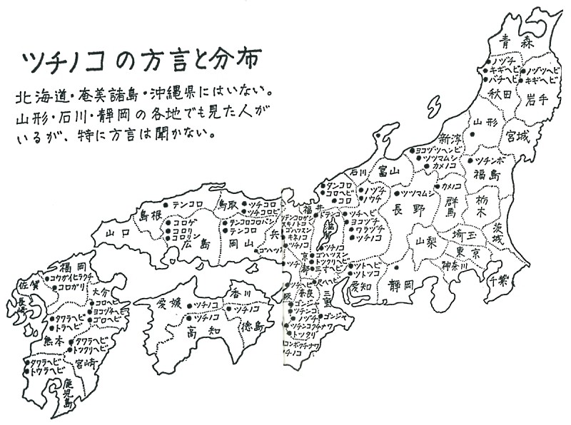 書籍紹介 逃げろツチノコ いつでもloupe