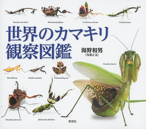 書籍紹介：「世界のカマキリ観察図鑑」 : いつでもLOUPE