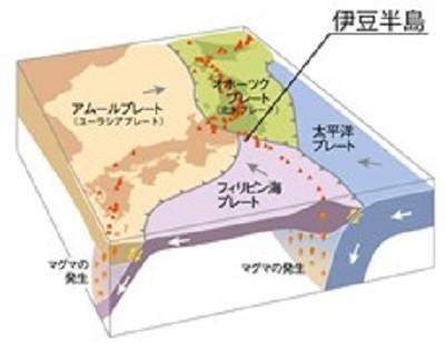 いつでもLOUPE