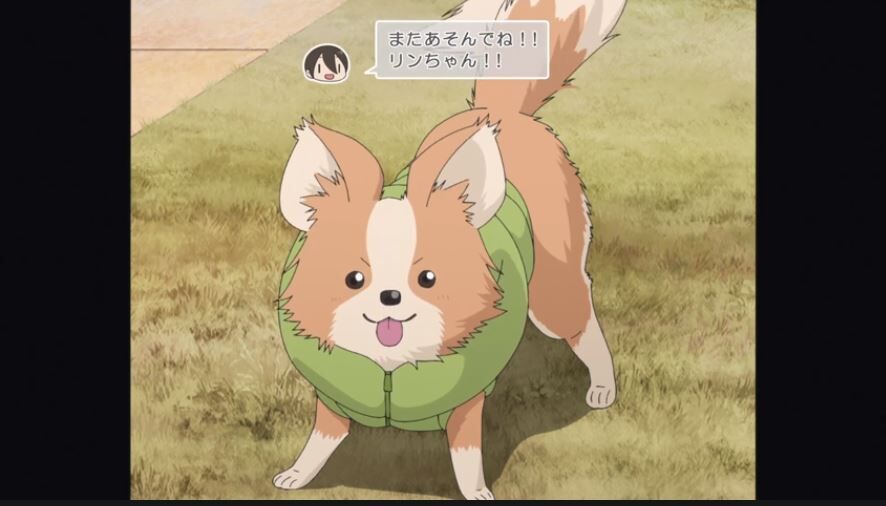 海外の反応まとめ ゆるキャン Season2第2話 離れててもみんなのニューイヤー 国際的アニメ日常 21リフレッシュ工事中