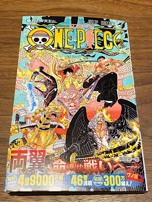 ワンピース102巻 ｐｈｏｔｏ日記