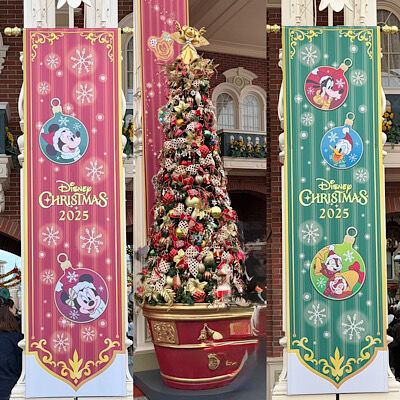 ディズニーランドのクリスマス2025 : PHOTO日記
