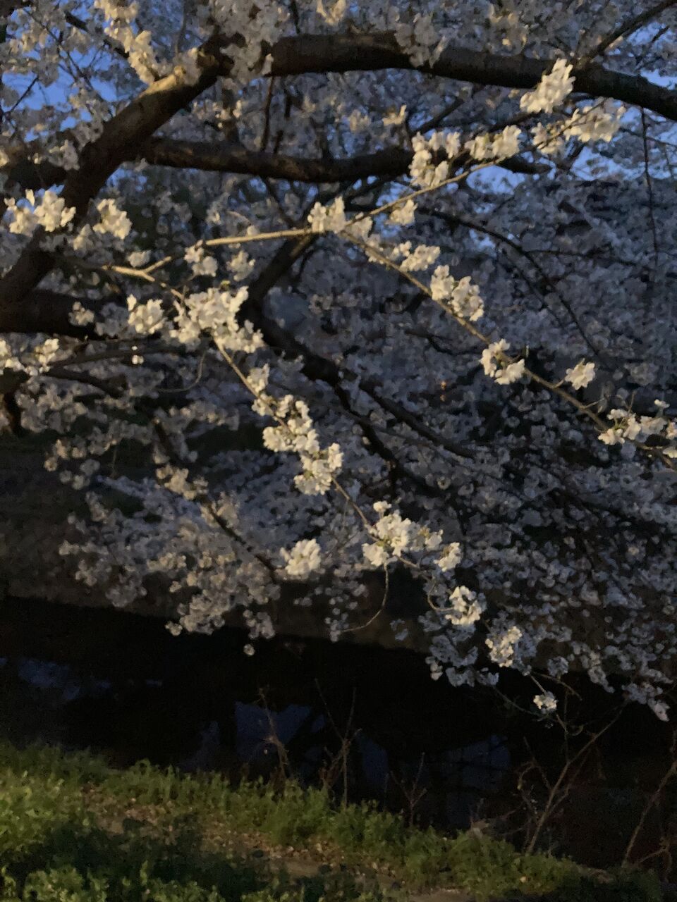 72f6837d-503e-4def-a6a8-1bc40701ea83