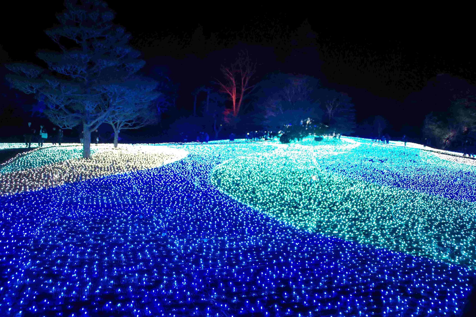 18 なら瑠璃絵 るりえ 奈良マラソンを走ろう