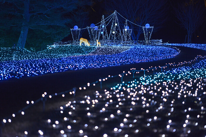 しあわせ回廊 なら瑠璃絵 2 8 2 14 奈良マラソンを走ろう