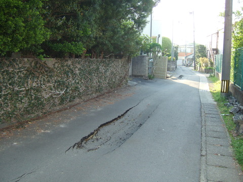 DSCF1732