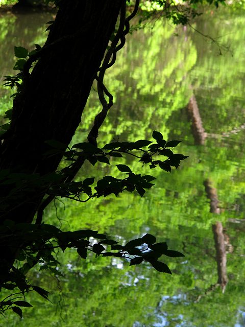 写真11