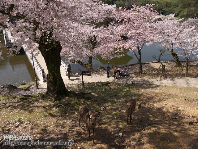 写真1