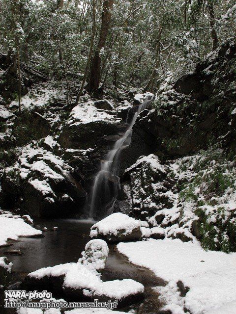 鶯の滝２