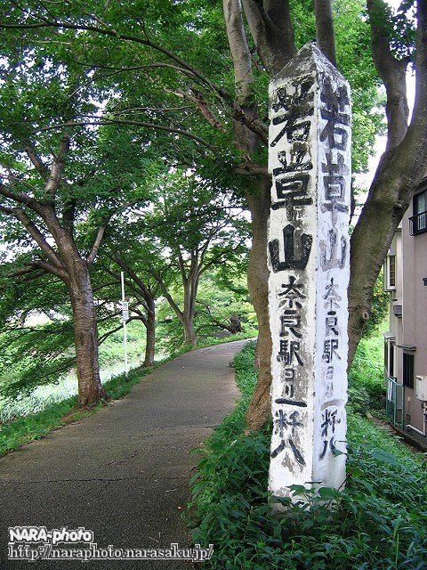 佐保川の気になるもの