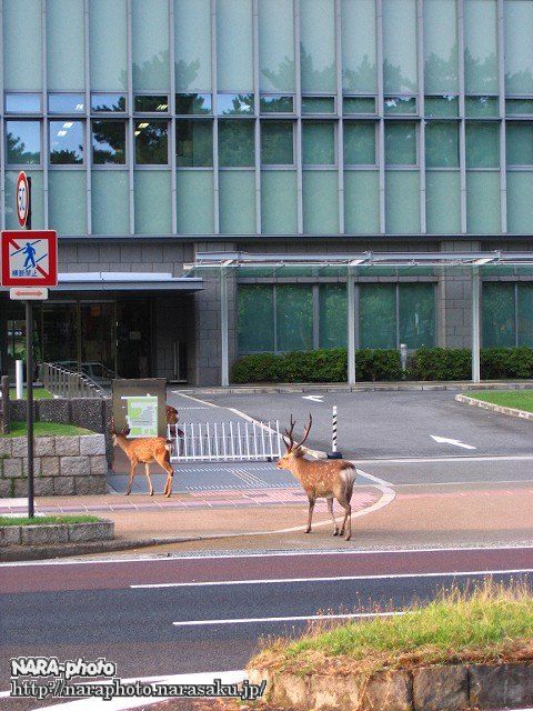 只今出勤中