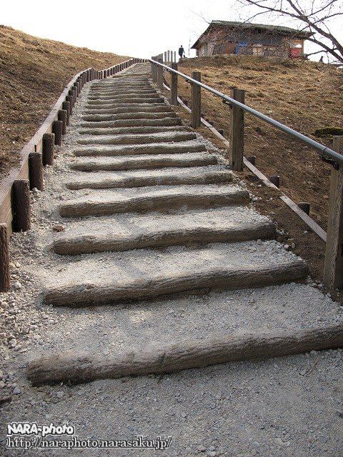 北側登山道４