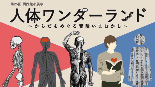 人体ワンダーランド