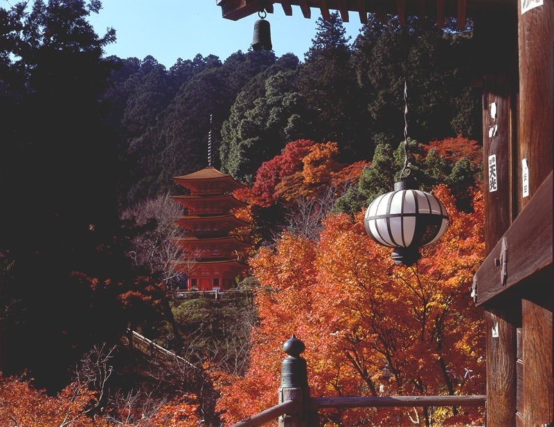 奈良交通 秋季限定のバス運行 紅葉の名所にはバスでのお出かけが便利ですよ 奈良の地元情報を毎日更新 ならぷら 奈良交通 秋季限定のバス運行 紅葉の名所にはバスでのお出かけが便利ですよ 奈良の地元情報を毎日更新 ならぷら