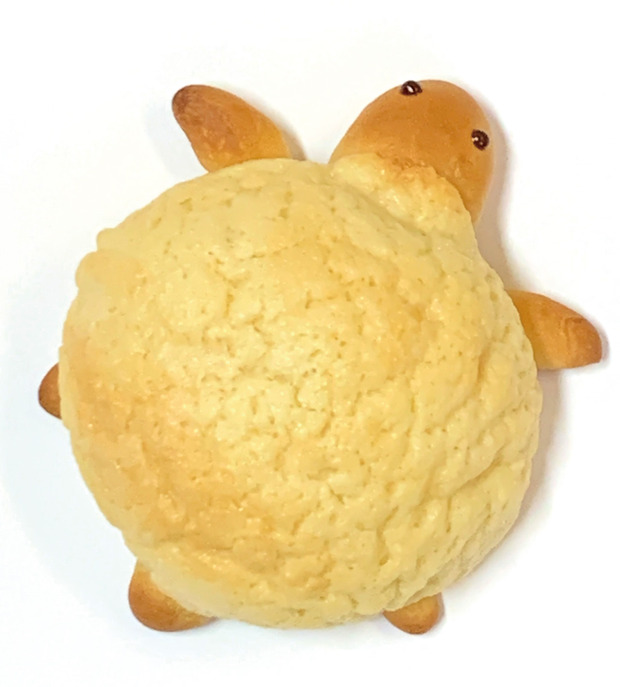 MOMOかめ(メロンパン）