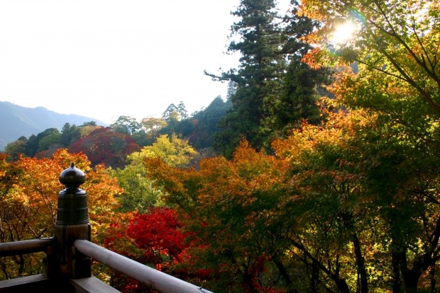 07fc8cc7f7233f8e454eb5f348ea9943_s