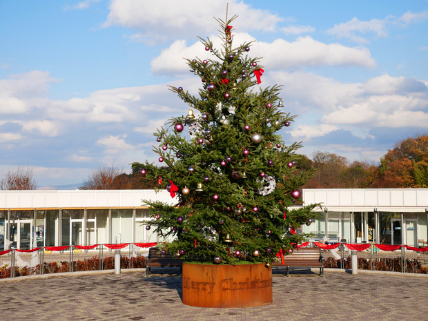 クリスマスツリー
