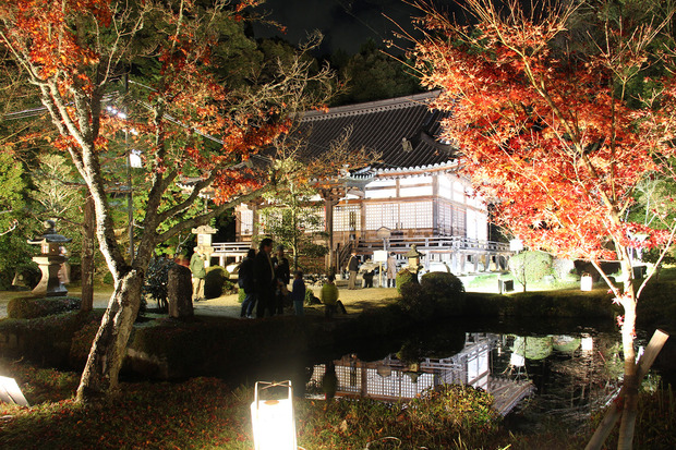 紅葉ライトアップ