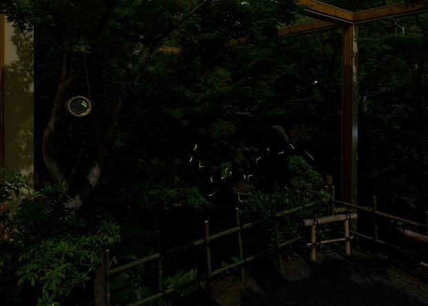 ホタル-けいはんな記念公園