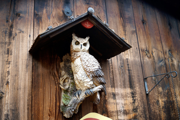 かわいいフクロウがお出迎え