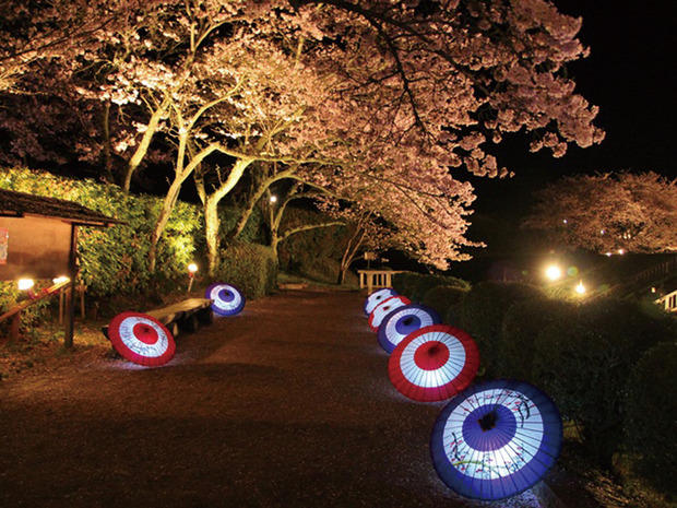 夜桜ライトアップ