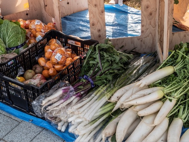 2_マルシェ模様