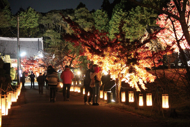 観音寺ライトアップ