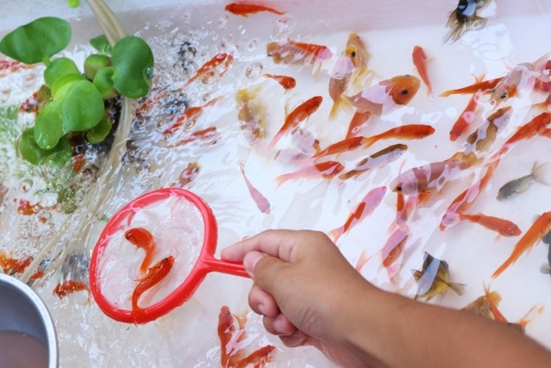 a285cac9150bfa1d9844a563d0abaefa_s