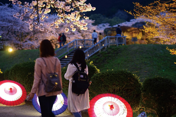 石舞台★夜桜ライトアップ