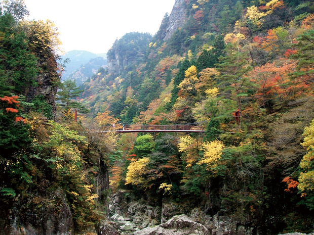 みたらい渓谷秋