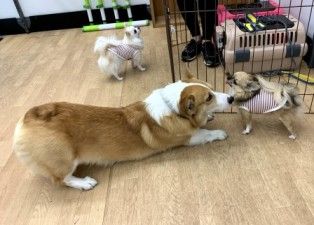 IMG_1598