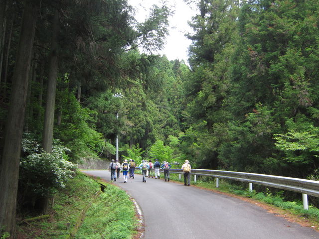 2.IMG_9358