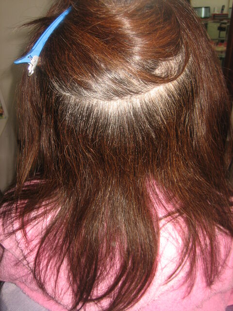 ブログパーツの途中 ヘアカラーと縮毛矯正とヘアマニキュア 奈良 髪質改善縮毛矯正専門店 美容室トラブル急増中 ブログパーツの途中 ヘアカラーと縮毛矯正とヘアマニキュア 奈良 髪質改善縮毛矯正専門店 美容室トラブル急増中