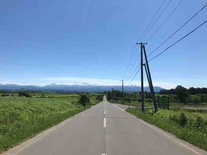 IMG_0772