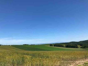IMG_0753